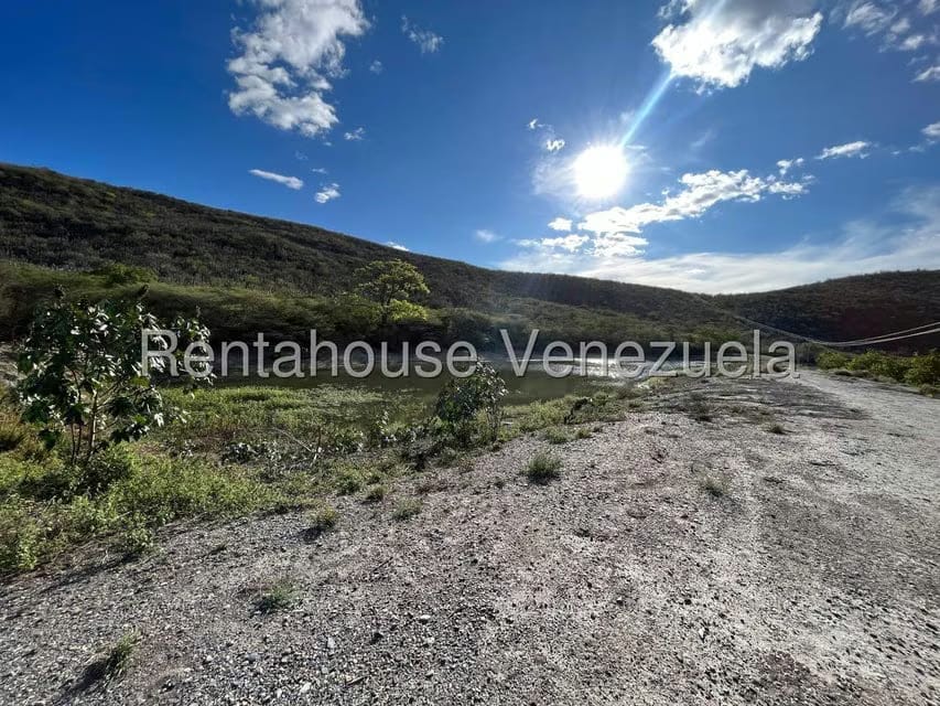 Terreno (Finca) en Venta en Municipio Jimenez, Lara - 13