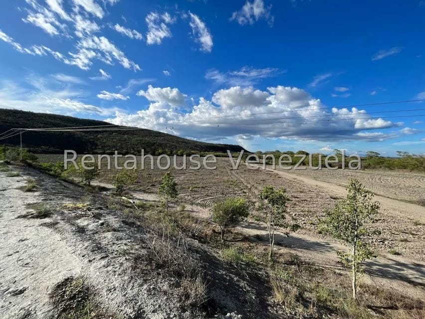 Terreno (Finca) en Venta en Municipio Jimenez, Lara - 16