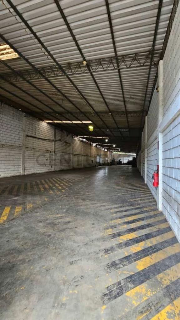 Venta galpón las lomas - 20