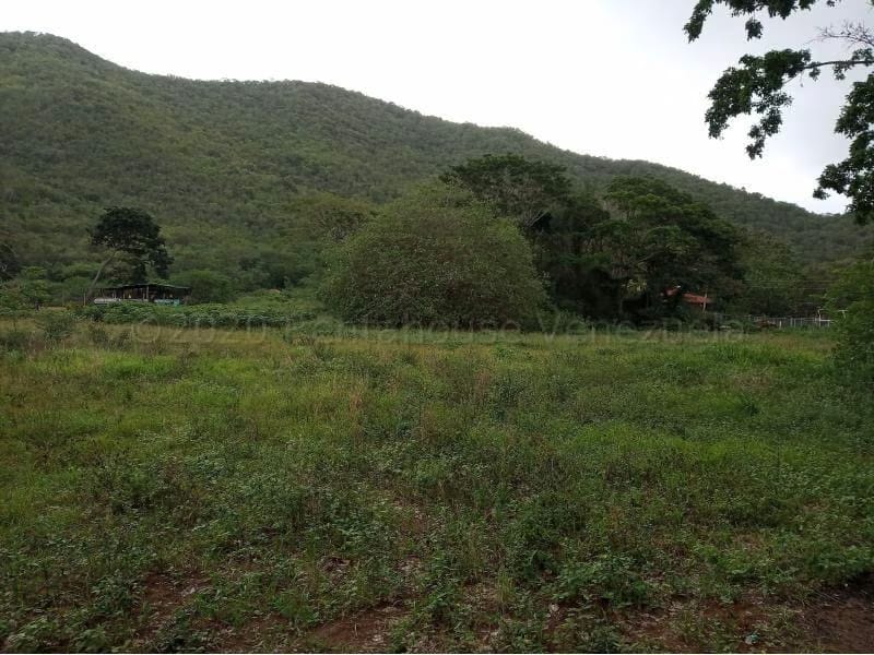 Terreno (Residencial) en Venta en La Asuncion, Nueva Esparta - 2