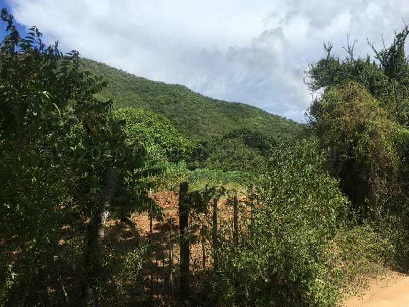 Terreno (Residencial) en Venta en La Asuncion, Nueva Esparta - 6