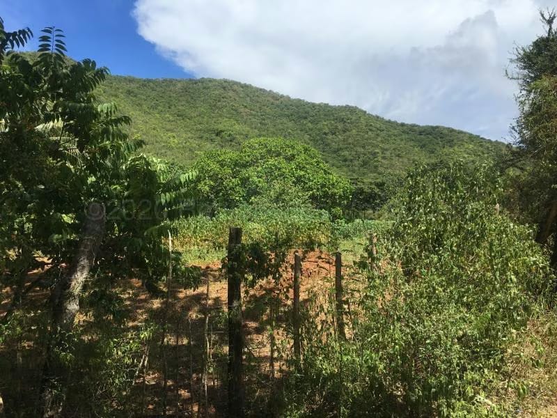 Terreno (Residencial) en Venta en La Asuncion, Nueva Esparta - 7