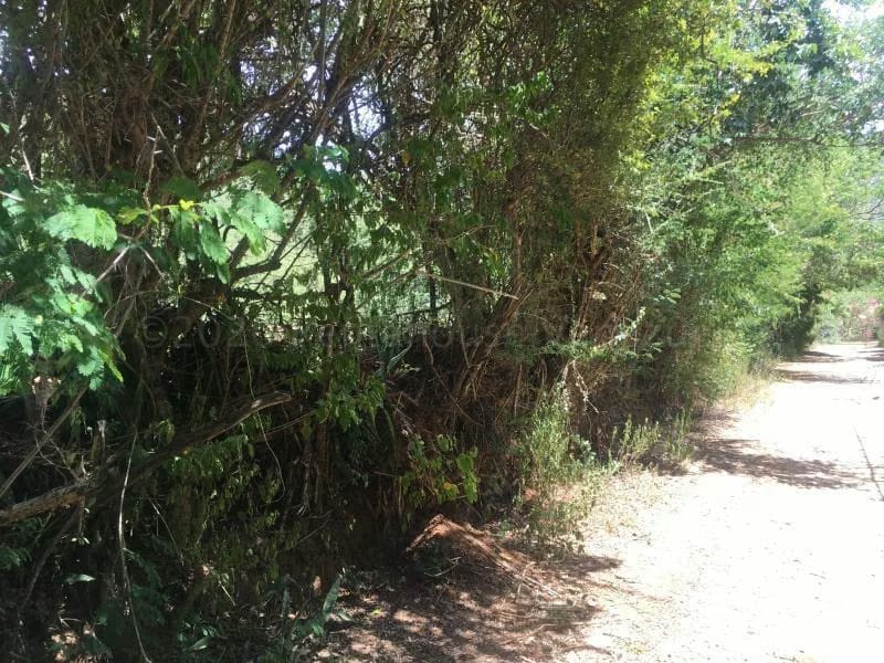 Terreno (Residencial) en Venta en La Asuncion, Nueva Esparta - 8