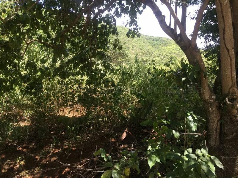 Terreno (Residencial) en Venta en La Asuncion, Nueva Esparta - 9