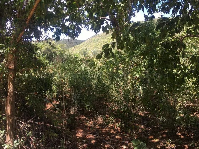 Terreno (Residencial) en Venta en La Asuncion, Nueva Esparta - 10