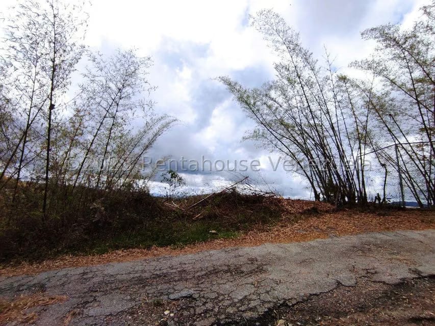 Terreno (Residencial) en Venta en Oripoto, Distrito Metropolitano - 5