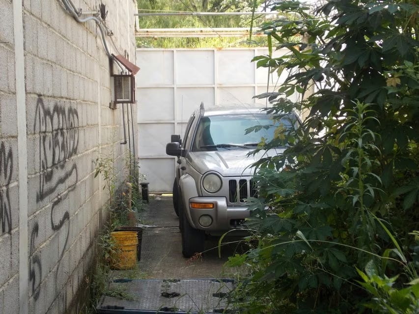 Comercial (Galpon - Deposito) en Venta en Guatire, Miranda - 12