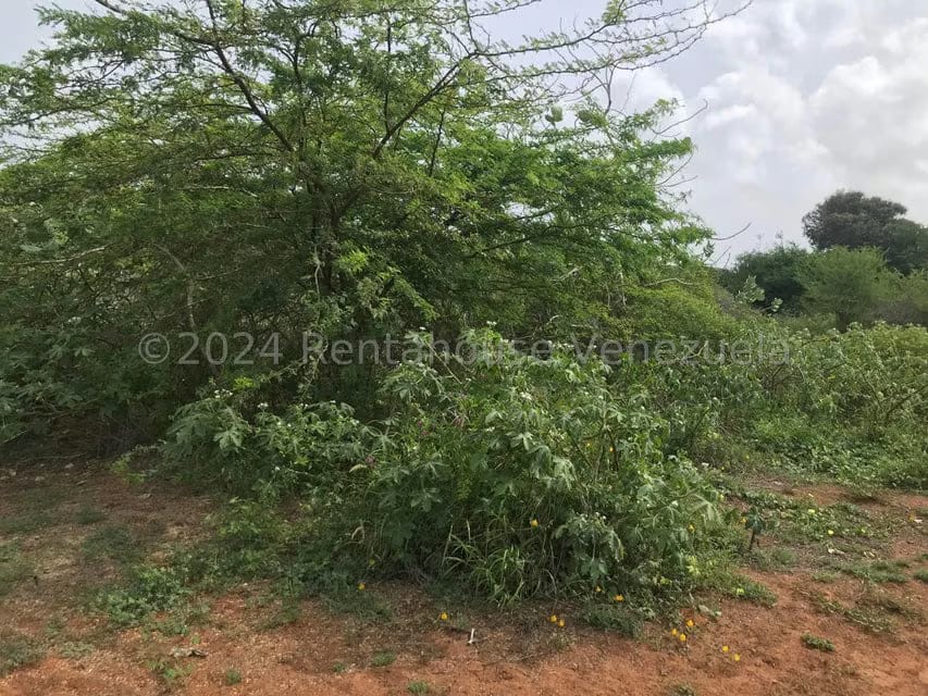 Terreno (Comercial) en Venta en El Tirano, Nueva Esparta - 12