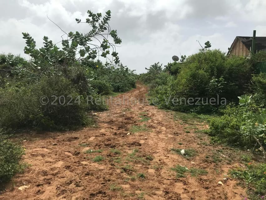 Terreno (Comercial) en Venta en El Tirano, Nueva Esparta - 3