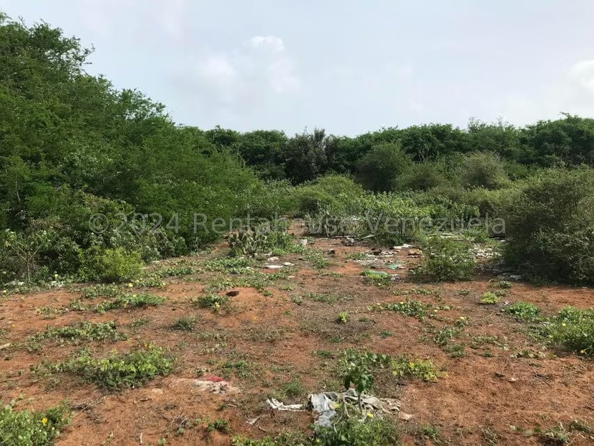Terreno (Comercial) en Venta en El Tirano, Nueva Esparta - 4