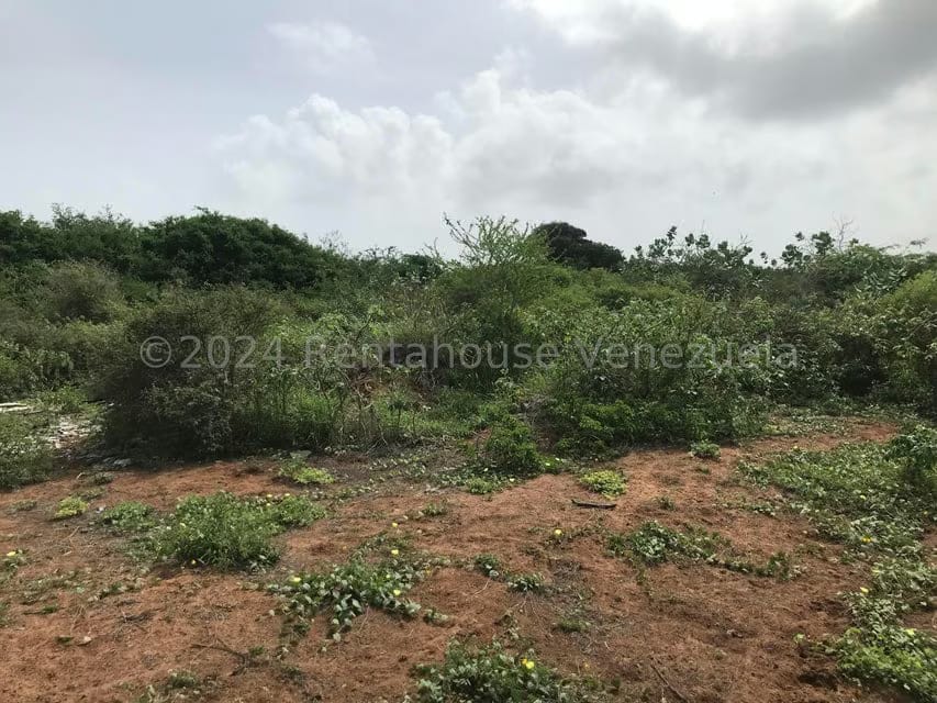 Terreno (Comercial) en Venta en El Tirano, Nueva Esparta - 5