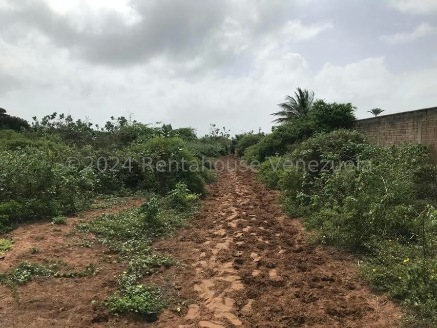 Terreno (Comercial) en Venta en El Tirano, Nueva Esparta - 6