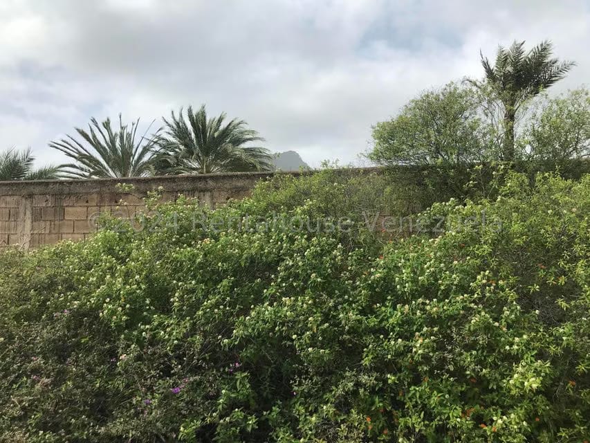 Terreno (Comercial) en Venta en El Tirano, Nueva Esparta - 8