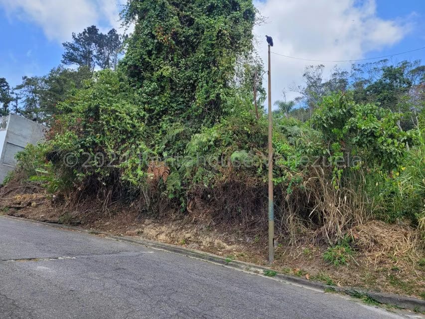 Terreno (Residencial) en Venta en La Lagunita Country Club, Distrito Metropolitano - 3