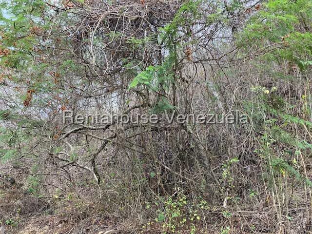 Terreno (Residencial) en Venta en Bosques de la Lagunita, Distrito Metropolitano - 7