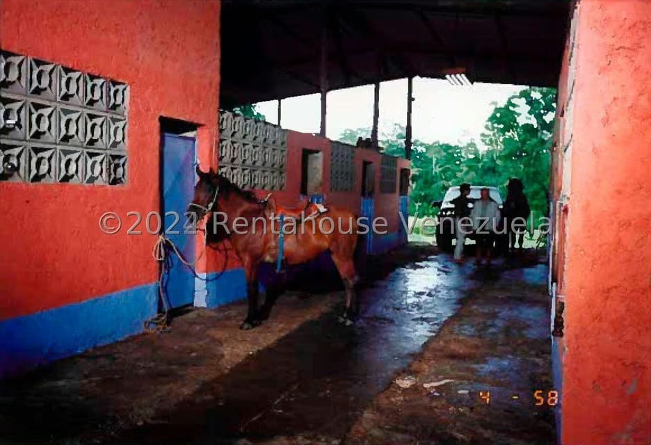 Terreno (Finca) en Venta en Villas de San Fernando, Miranda - 11