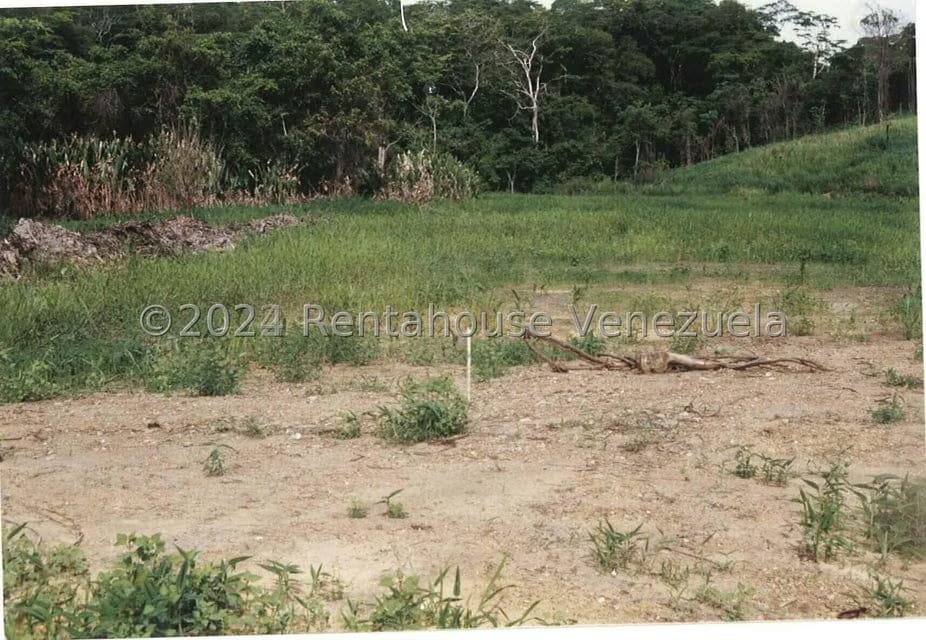 Terreno (Finca) en Venta en Villas de San Fernando, Miranda - 5