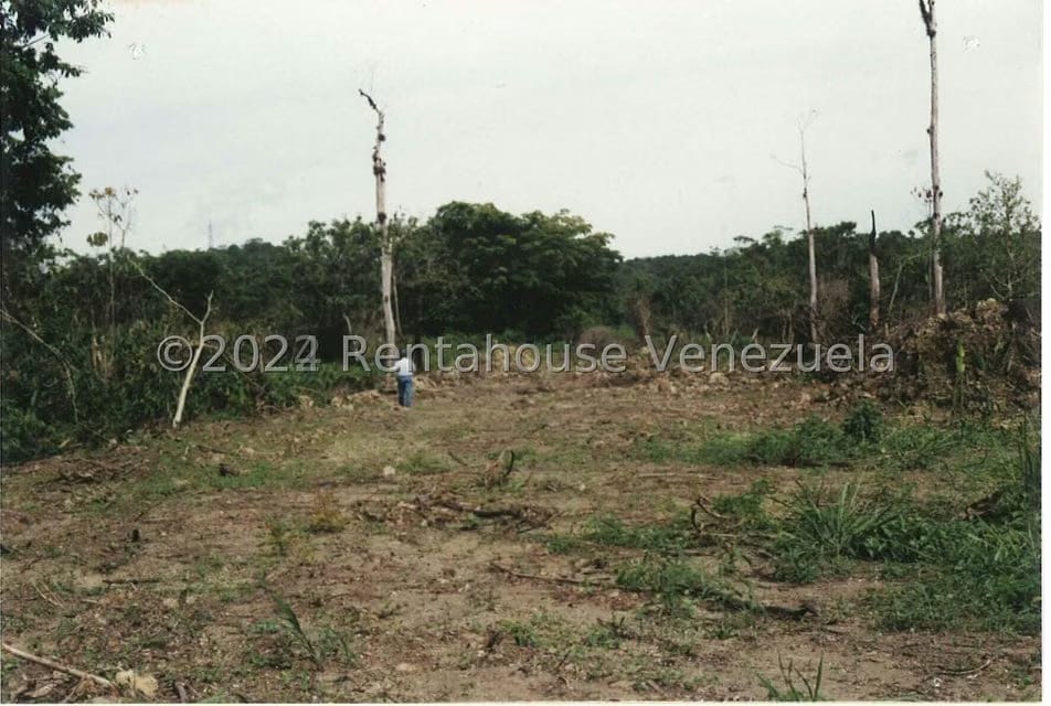 Terreno (Finca) en Venta en Villas de San Fernando, Miranda - 6