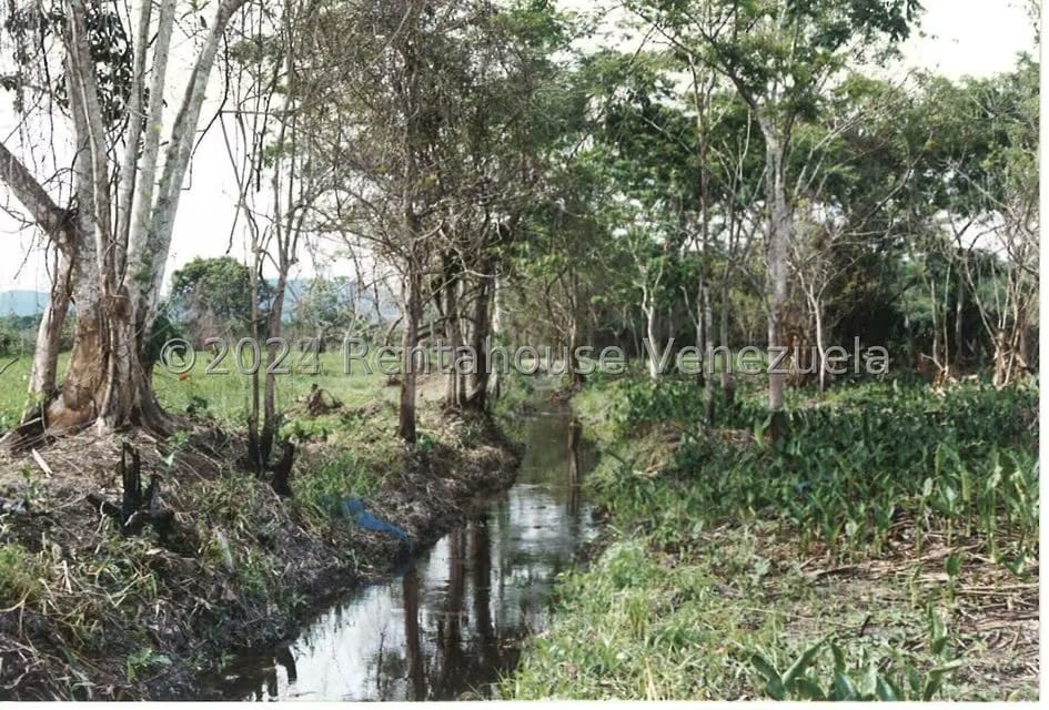 Terreno (Finca) en Venta en Villas de San Fernando, Miranda - 7