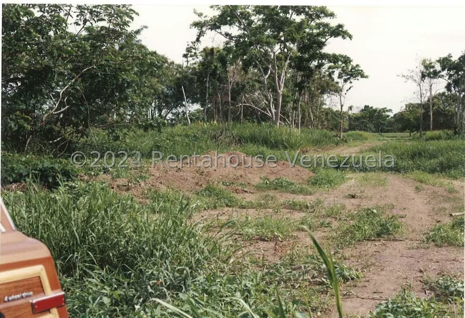 Terreno (Finca) en Venta en Villas de San Fernando, Miranda - 8