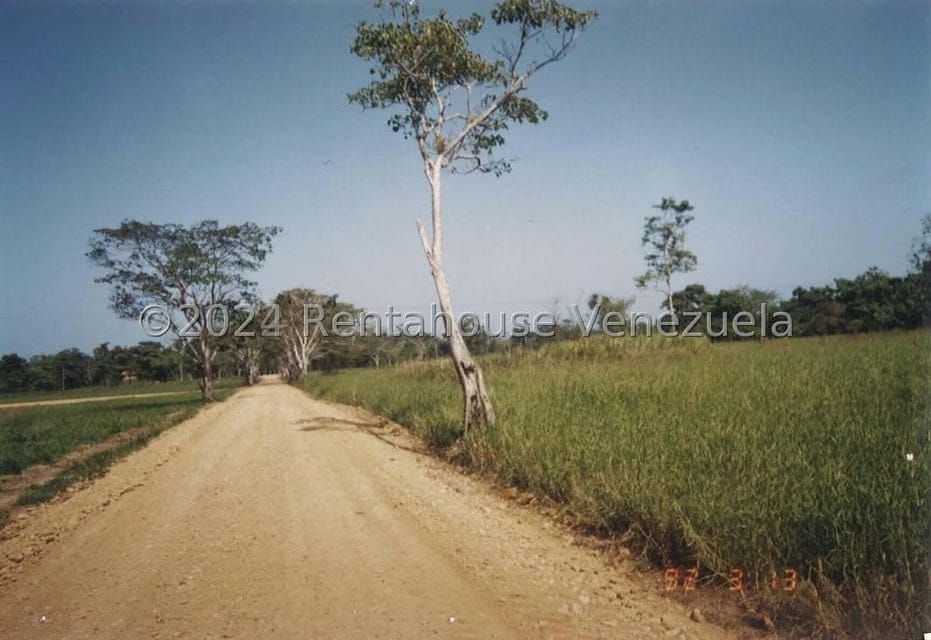 Terreno (Finca) en Venta en Villas de San Fernando, Miranda - 9