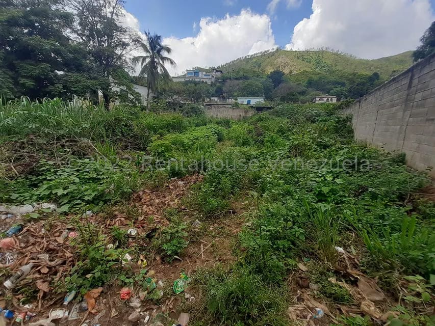 Terreno (Residencial) en Venta en Las Palmas, Guarico - 7