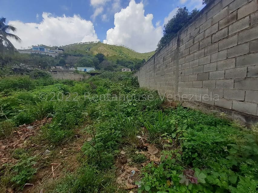 Terreno (Residencial) en Venta en Las Palmas, Guarico - 8