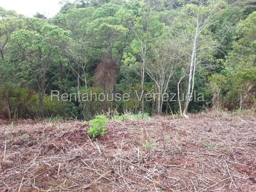 Terreno (Finca) en Venta en La Niebla, Vargas - 12