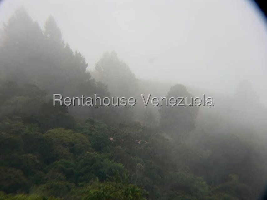 Terreno (Finca) en Venta en La Niebla, Vargas - 15