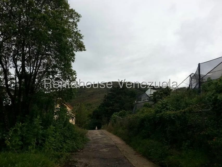 Terreno (Finca) en Venta en La Niebla, Vargas - 4