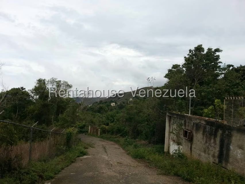 Terreno (Finca) en Venta en La Niebla, Vargas - 8