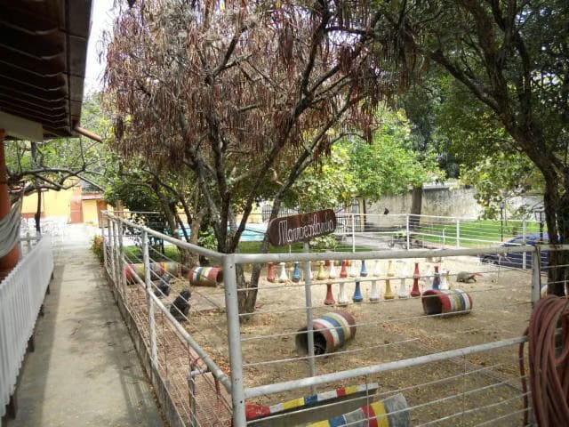 Casa (Colonial) en Venta en Las Barrancas, Miranda - 22