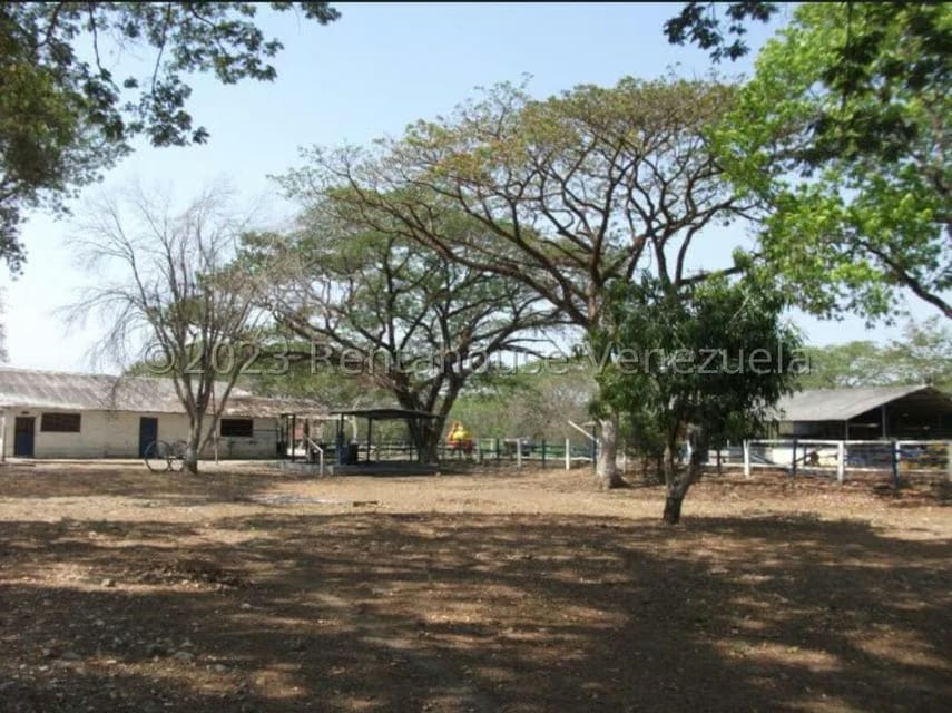 Terreno (Finca) en Venta en Turen, Portuguesa - 2
