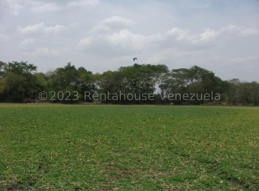Terreno (Finca) en Venta en Turen, Portuguesa - 3