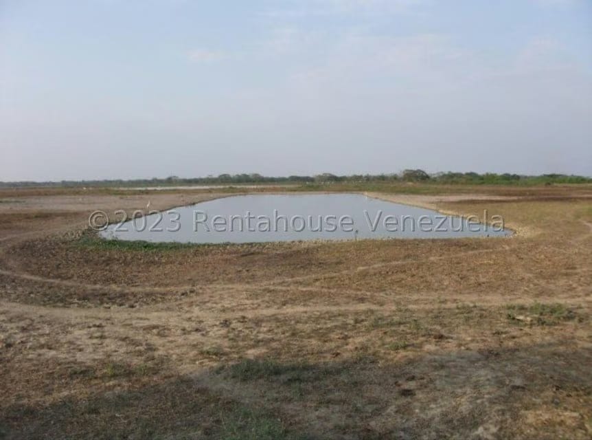 Terreno (Finca) en Venta en Turen, Portuguesa - 5