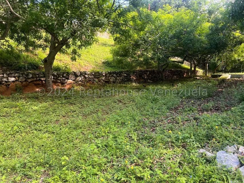 Casa (1 Nivel) en Venta en Distrito San Casimiro, Aragua - 12