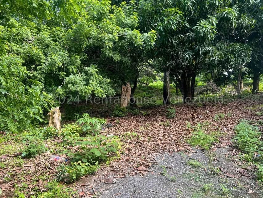 Casa (1 Nivel) en Venta en Distrito San Casimiro, Aragua - 14