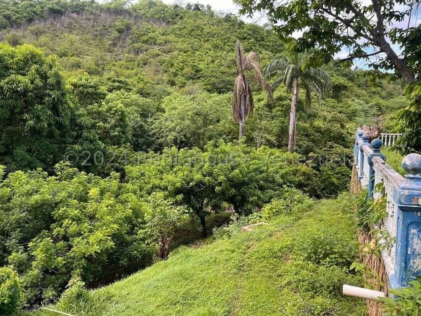 Casa (1 Nivel) en Venta en Distrito San Casimiro, Aragua - 18