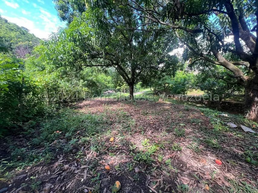 Casa (1 Nivel) en Venta en Distrito San Casimiro, Aragua - 25