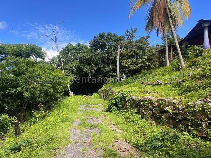 Casa (1 Nivel) en Venta en Distrito San Casimiro, Aragua - 27