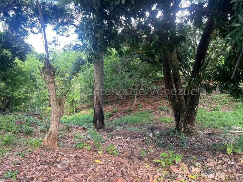 Casa (1 Nivel) en Venta en Distrito San Casimiro, Aragua - 28