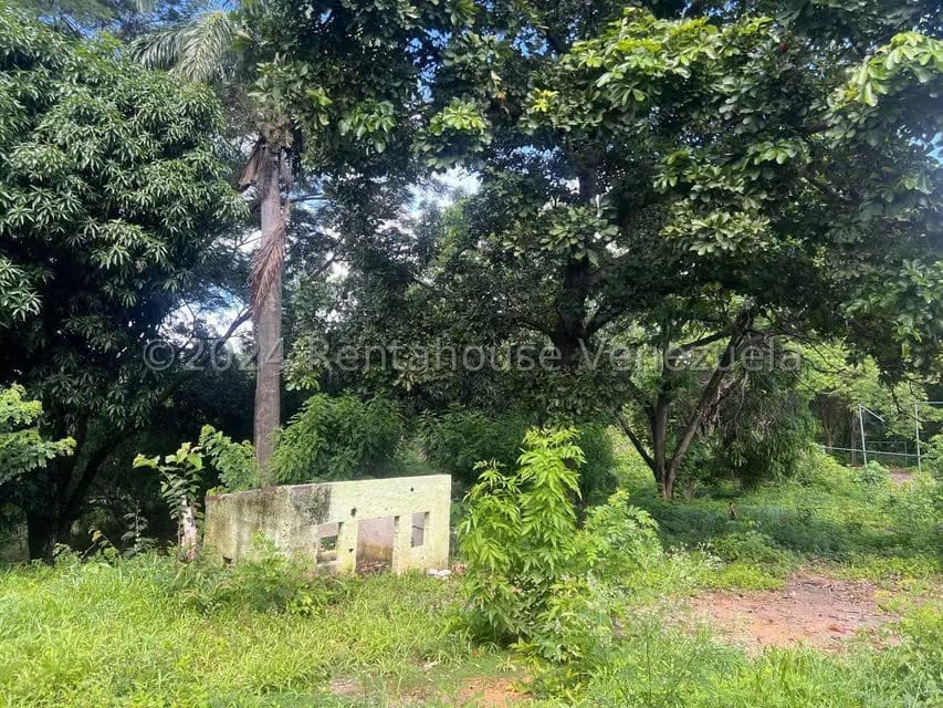 Casa (1 Nivel) en Venta en Distrito San Casimiro, Aragua - 31
