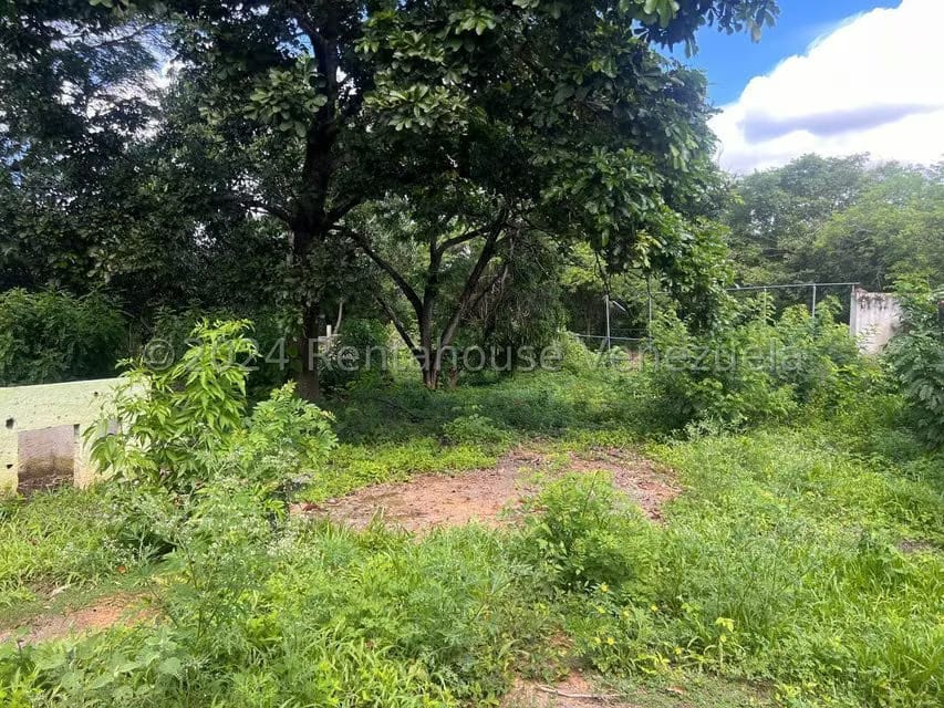 Casa (1 Nivel) en Venta en Distrito San Casimiro, Aragua - 32