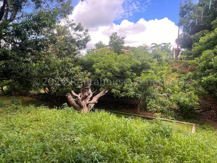 Casa (1 Nivel) en Venta en Distrito San Casimiro, Aragua - 33