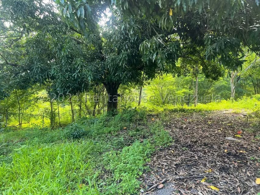 Casa (1 Nivel) en Venta en Distrito San Casimiro, Aragua - 35