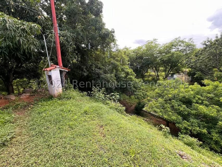 Casa (1 Nivel) en Venta en Distrito San Casimiro, Aragua - 40