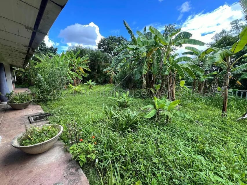 Casa (1 Nivel) en Venta en Distrito San Casimiro, Aragua - 48