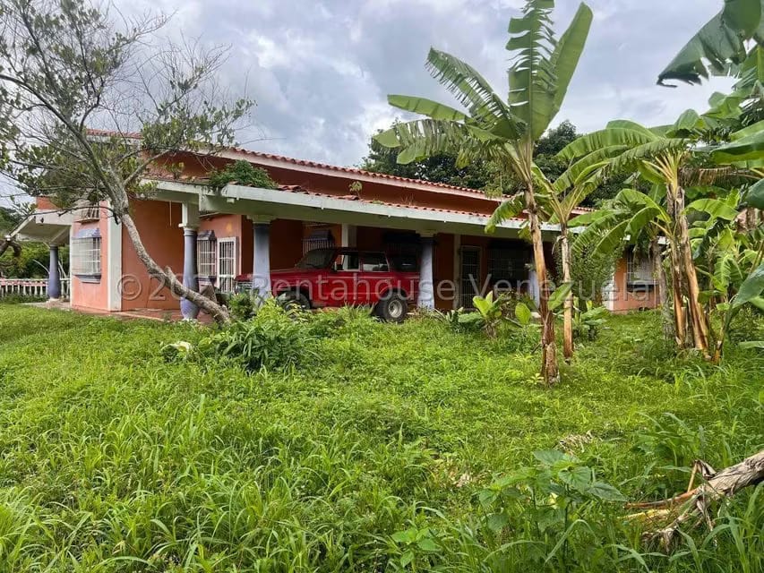 Casa (1 Nivel) en Venta en Distrito San Casimiro, Aragua - 50