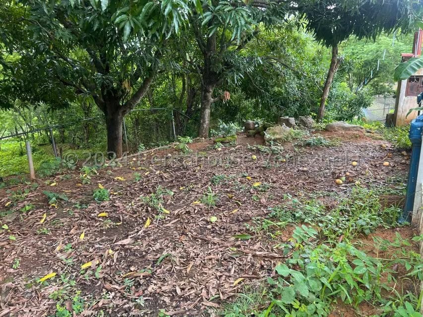 Casa (1 Nivel) en Venta en Distrito San Casimiro, Aragua - 52