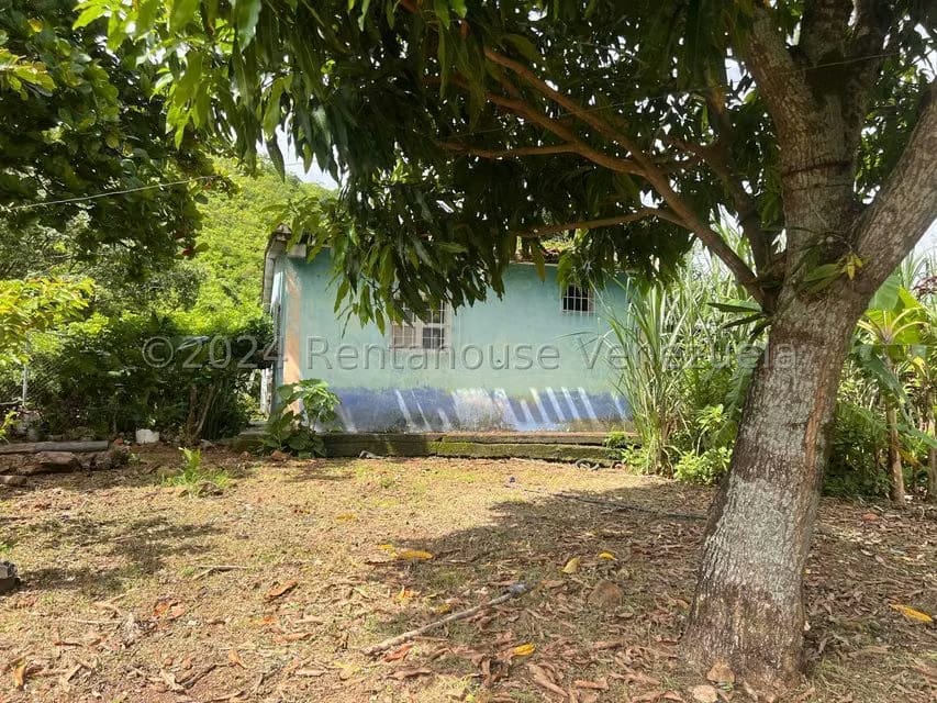 Casa (1 Nivel) en Venta en Distrito San Casimiro, Aragua - 54